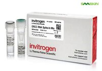 Thermo Fisher Scientific Invitrogen ERCC RNA Spike-In Mix.