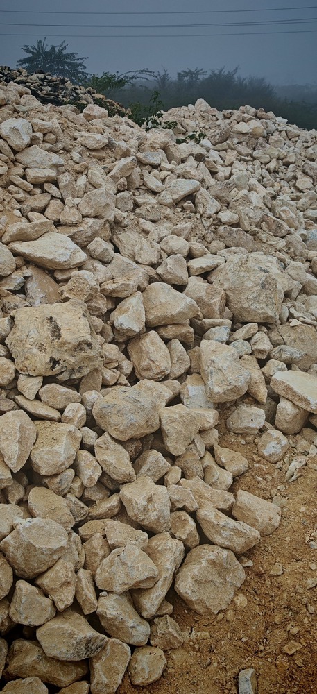 White Soapstone Lumps (Ghiya Pather Stone) - Application: Pashu Aahar