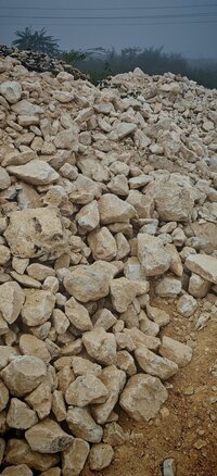 White Soapstone Lumps (ghiya Pather Stone) - Application: Pashu Aahar