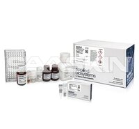 Thermo Fisher Scientific Invitrogen MagMAX-96 for Microarrays Total RNA Isolation Kit