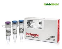 Thermo Fisher Scientific Invitrogen Platinum SuperFi II DNA Polymerase