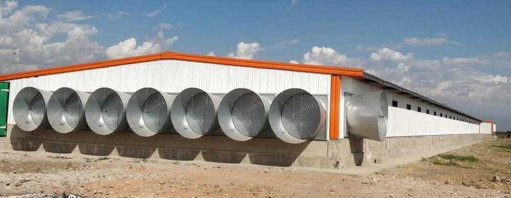54 Inch Poultry Exhaust Fan - Feature: Good Quality