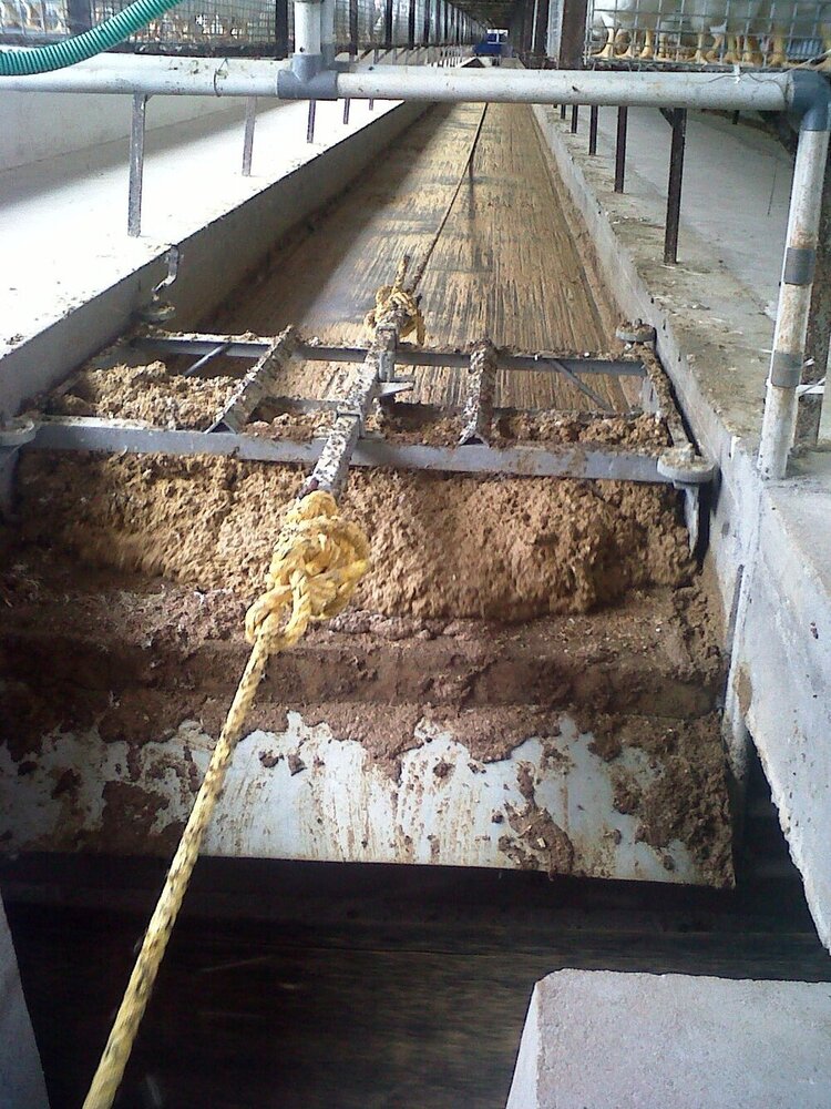 Poultry Layer California Cage - Feature: Good Quality
