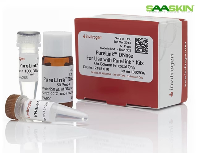 Thermo Fisher Scientific Invitrogen PureLink DNase Set