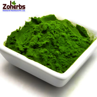 Alfalfa Powder - Cultivation Type: Organic