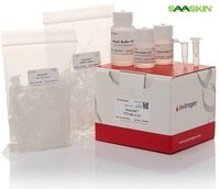 Thermo Fisher Scientific Invitrogen PureLink PCR Micro Kit