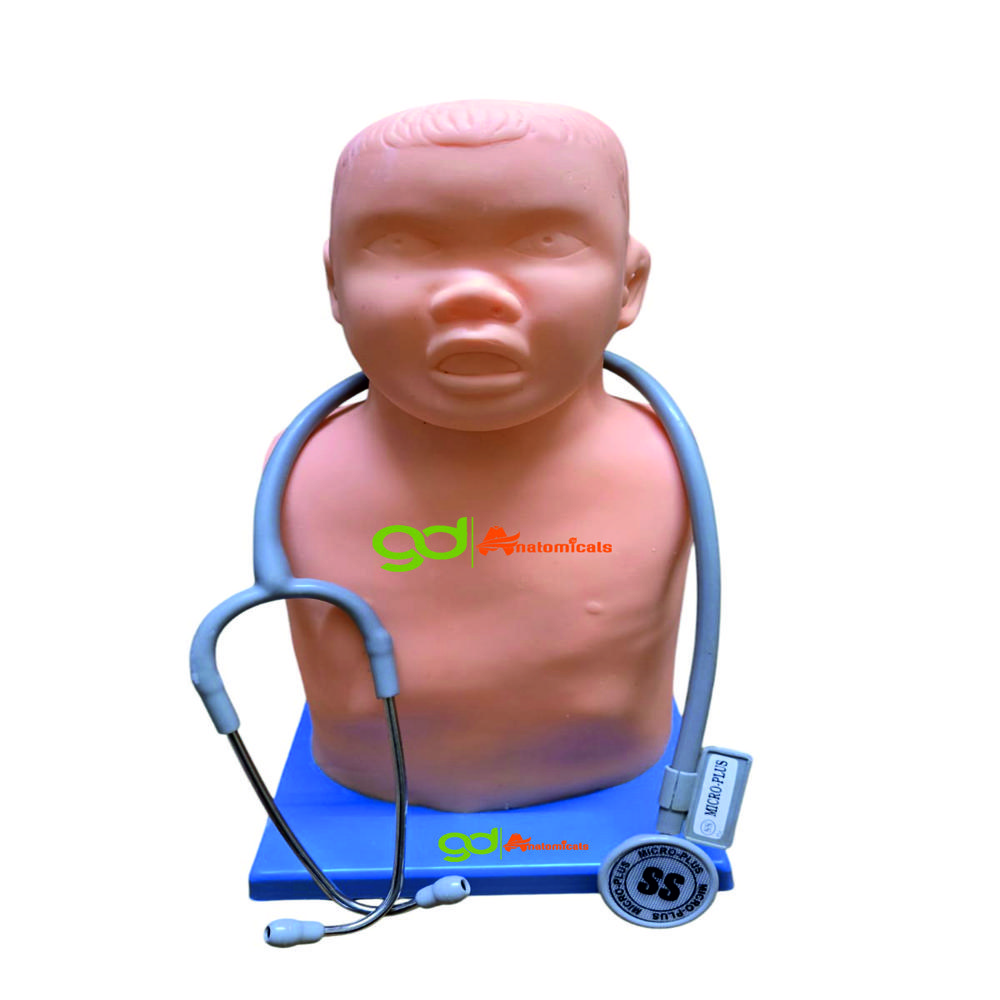 CHILD LUNG AUSCULATION MODEL