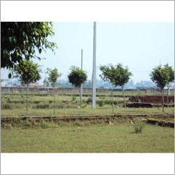सौभाग्य एन्क्लेव