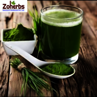 Barley Grass Powder - Cultivation Type: Organic