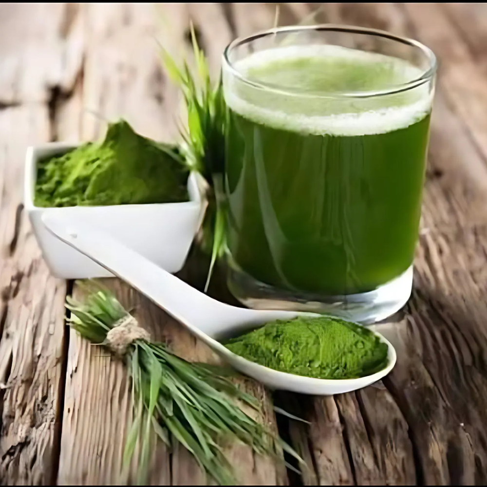 Barley Grass Powder - Cultivation Type: Organic