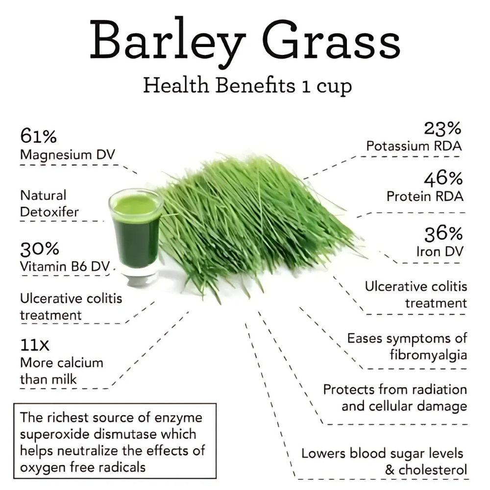 Barley Grass Powder