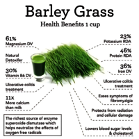 Barley Grass Powder