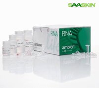 Thermo Fisher Scientific Invitrogen PureLink RNA Mini Kit