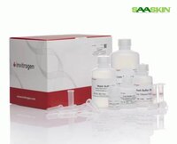 Thermo Fisher Scientific Invitrogen PureLink Total RNA Blood Kit