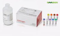 Thermo Fisher Scientific Invitrogen Quant-iT Protein Assay Kit