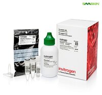 Thermo Fisher Scientific Invitrogen RNaseAlert Lab Test Kit v2