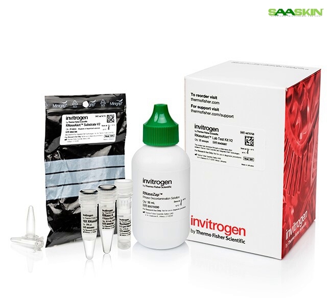 Thermo Fisher Scientific Invitrogen RNaseAlert Lab Test Kit v2