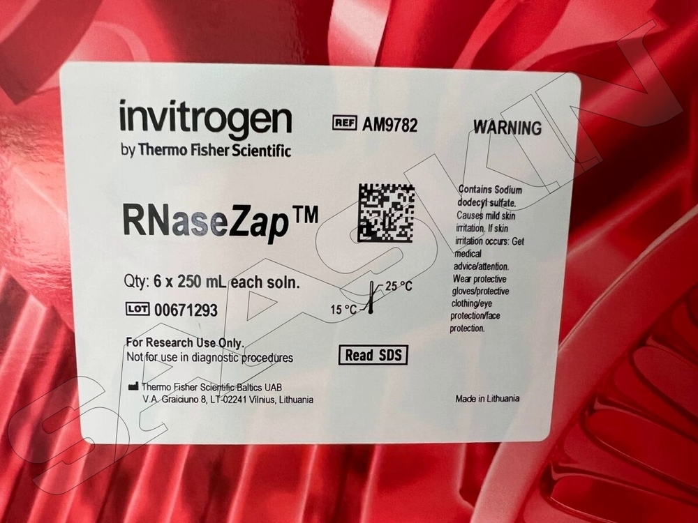 Thermo Fisher Scientific Invitrogen RNaseZap RNase Decontamination Solution.