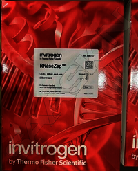 Thermo Fisher Scientific Invitrogen RNaseZap RNase Decontamination Solution.