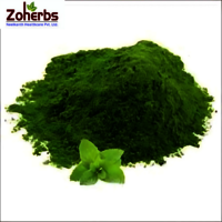 Pudina Mint Powder - Cultivation Type: Organic