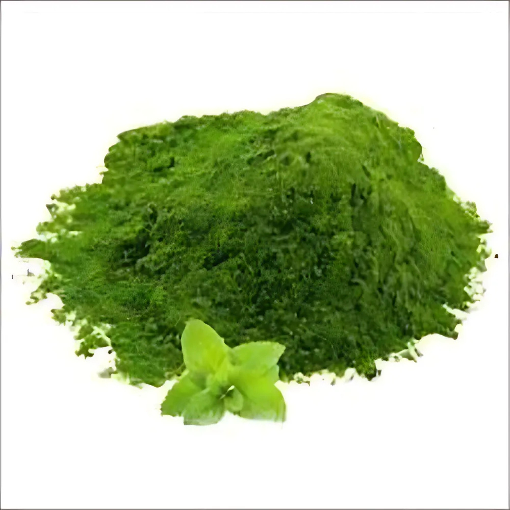 Pudina Mint Powder - Cultivation Type: Organic