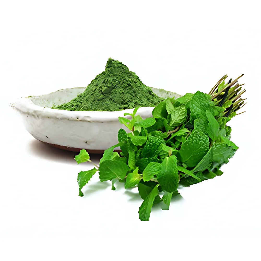 Pudina Mint Powder - Cultivation Type: Organic