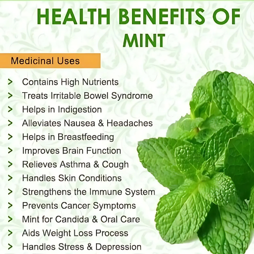 Pudina Mint Powder - Cultivation Type: Organic
