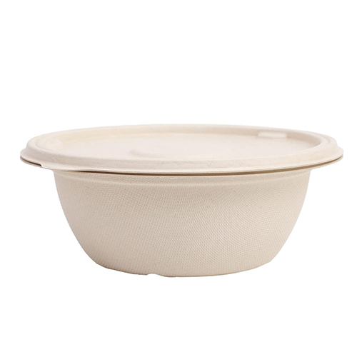 Disposable Containers With Lid