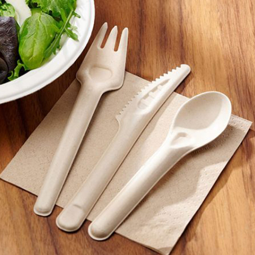 Plastic Disposable Cutlery