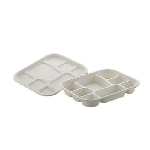 Sugarcane Bagasse Disposable Tray - Application: Food Items