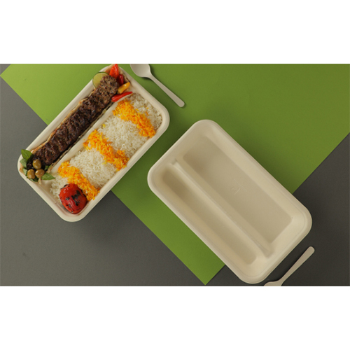 Disposable 2 In 1 Trays