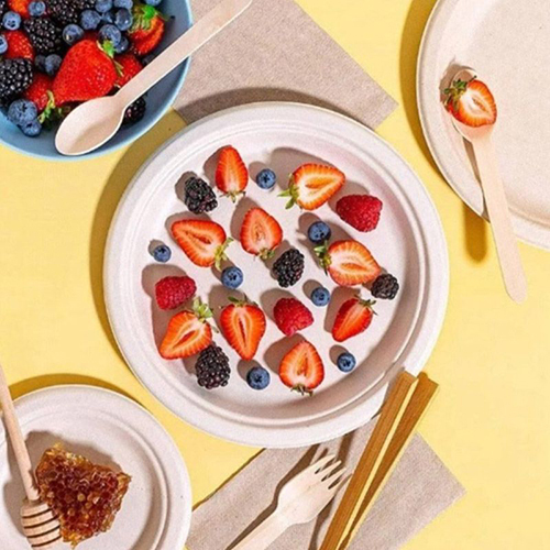 Disposable 12inch Plain Super Round Plate