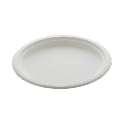 Disposable Plain Round Plate