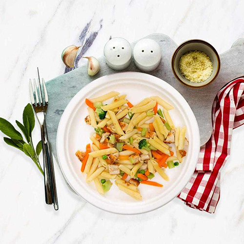 10Inch Bagasse Biodegradable Plate - Application: Food Items