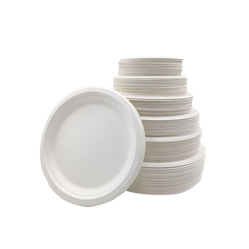 Disposable White Bagasse Plate
