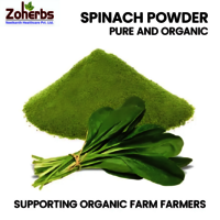 Spinach Powder - Cultivation Type: Organic