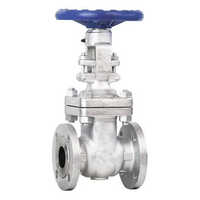 Industrial Gate Valve - Stainless Steel, 40mm Size , Polished Silver Finish For Efficient Industrial Usage