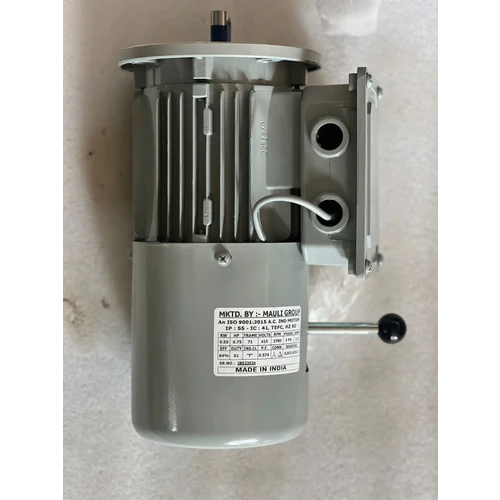 Electric Brake Motor