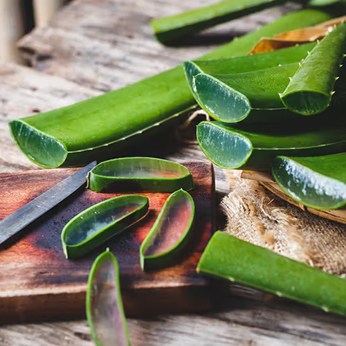 Fresh Aloevera Levaes - Direction: As Per Suggestion
