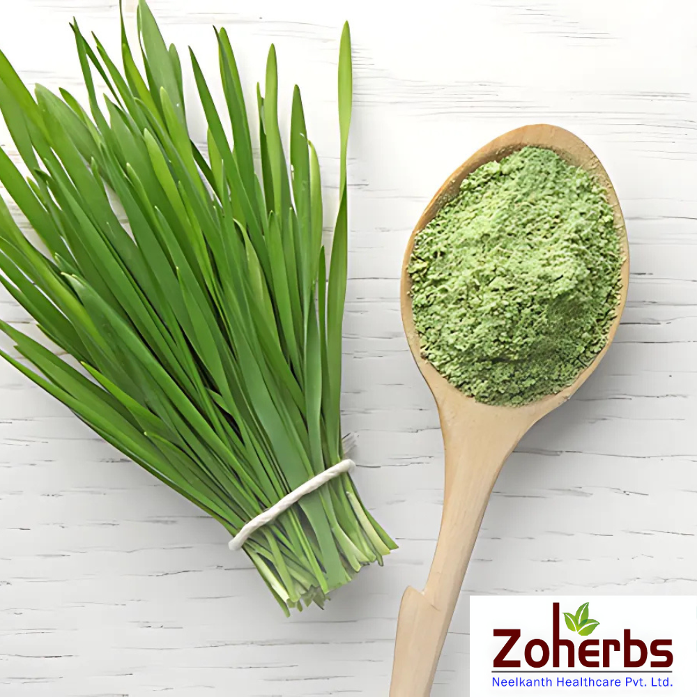 Wheat Grass Powder