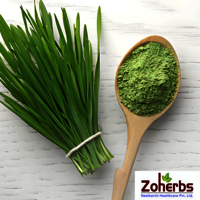 Wheat Grass Powder - Cultivation Type: Organic