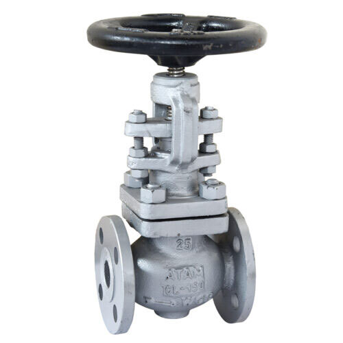 Cast Carbon Steel Globe Valve, Flanged Ends, Class-150 - Av289 - Color: White