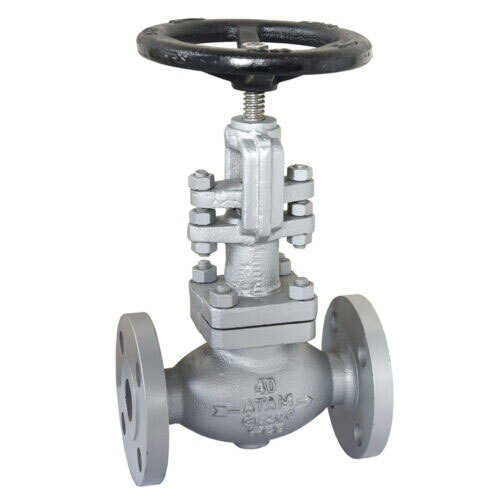 Cast Carbon Steel Globe Valve, Flanged Ends, Class-300 - Av289A - Color: Silver