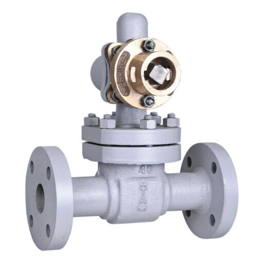 Cast Carbon Steel Parallel Slide Blow Off Valve, Flanged Ends, (Table-J) - Av278 - Color: White