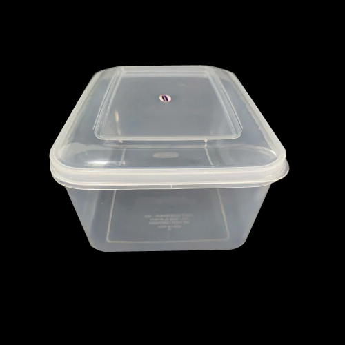 Plastic Rectangular Storage Box - Color: Different Available