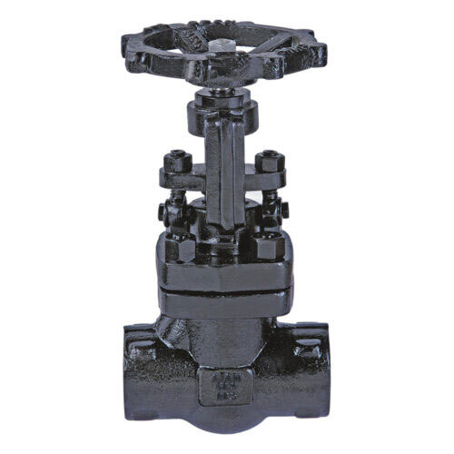 Drop Forged Steel Globe Valve, Screwed Ends, Class-800 - Av303 - Color: Black