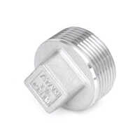Stainless Steel Square Plug - Dummy, Pn-25 - Color: Silver