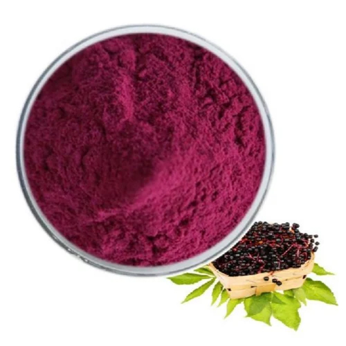 Elderberry Extract Powder - Product Type: Herbal Product