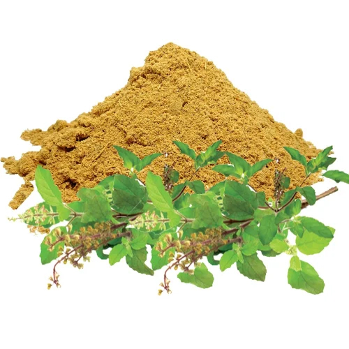 Tulsi Extract Powder - Product Type: Herbal Product