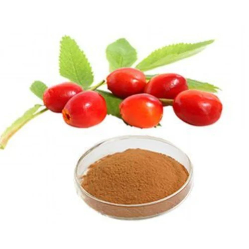 Rosehip Extract Powder From Fruit - Product Type: Herbal Product